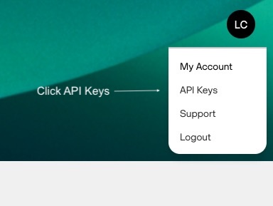 The portal account menu open in the top right corner, with API Keys highlighted.